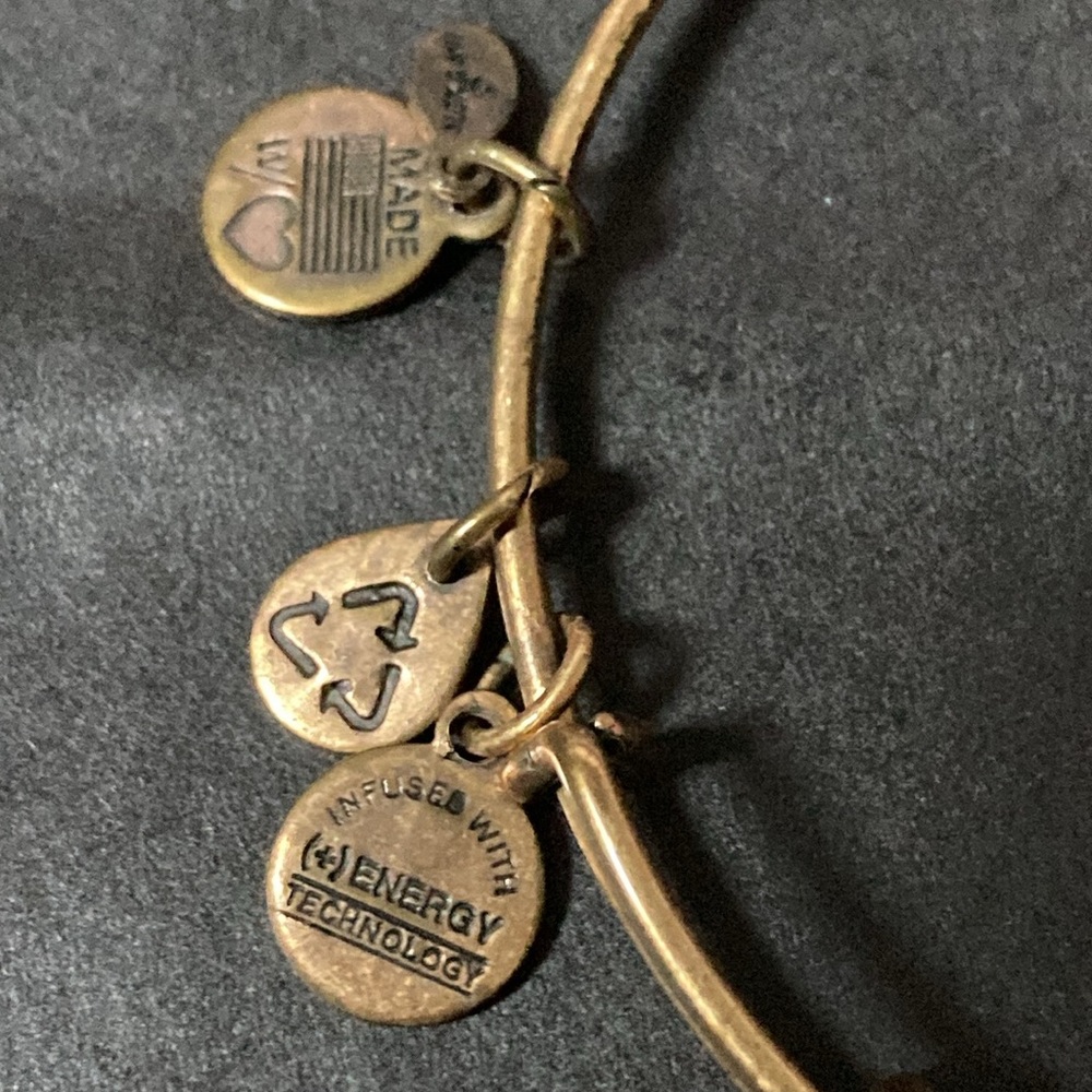 Apple Goldtone Energy Alex & Ani Bracelet - Picture 3 of 3